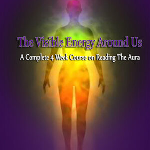The Visible Energy Around Us: A Guide to Reading the Aura by Rev. Lisa C. Bousson